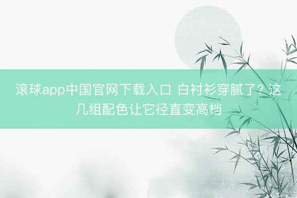 滚球app中国官网下载入口 白衬衫穿腻了? 这几组配色让它径直变高档
