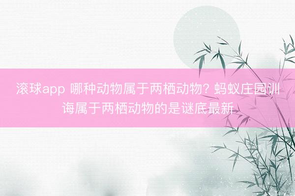 滚球app 哪种动物属于两栖动物? 蚂蚁庄园训诲属于两栖动物的是谜底最新