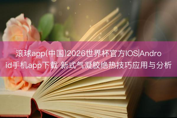 滚球app(中国)2026世界杯官方IOS|Android手机app下载 新式气凝胶绝热技巧应用与分析