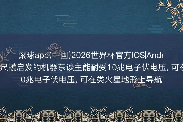 滚球app(中国)2026世界杯官方IOS|Android手机app下载 受尺蠖启发的机器东谈主能耐受10兆电子伏电压， 可在类火星地形上导航
