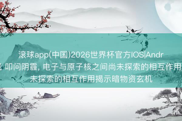 滚球app(中国)2026世界杯官方IOS|Android手机app下载 叩问阴霾， 电子与原子核之间尚未探索的相互作用揭示暗物资玄机