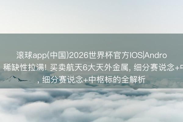 滚球app(中国)2026世界杯官方IOS|Android手机app下载 稀缺性拉满! 买卖航天6大天外金属， 细分赛说念+中枢标的全解析