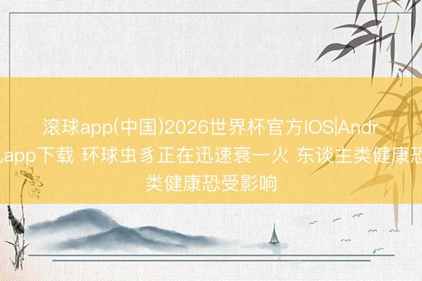 滚球app(中国)2026世界杯官方IOS|Android手机app下载 环球虫豸正在迅速衰一火 东谈主类健康恐受影响