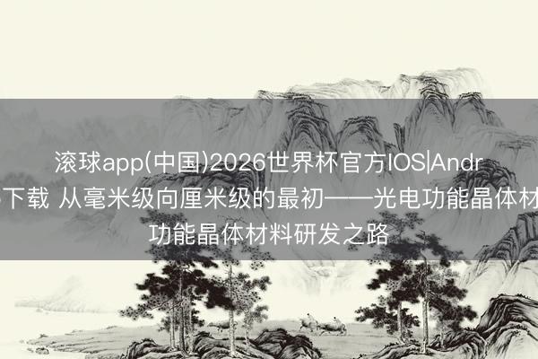 滚球app(中国)2026世界杯官方IOS|Android手机app下载 从毫米级向厘米级的最初——光电功能晶体材料研发之路
