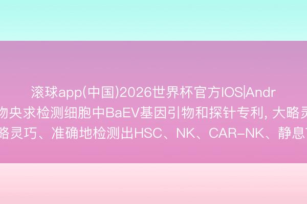 滚球app(中国)2026世界杯官方IOS|Android手机app下载 谱荣达物央求检测细胞中BaEV基因引物和探针专利， 大略灵巧、准确地检测出HSC、NK、CAR-NK、静息T细胞中BaEV的基因残留