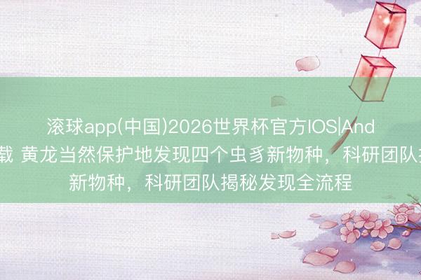 滚球app(中国)2026世界杯官方IOS|Android手机app下载 黄龙当然保护地发现四个虫豸新物种，科研团队揭秘发现全流程