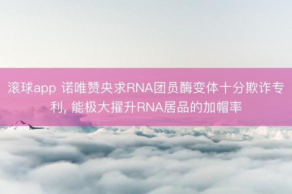 滚球app 诺唯赞央求RNA团员酶变体十分欺诈专利， 能极大擢升RNA居品的加帽率
