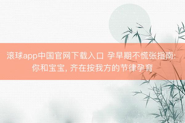 滚球app中国官网下载入口 孕早期不慌张指南: 你和宝宝， 齐在按我方的节律孕育