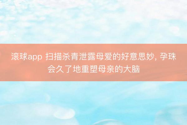 滚球app 扫描杀青泄露母爱的好意思妙， 孕珠会久了地重塑母亲的大脑