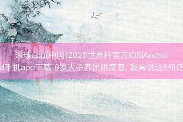 滚球app(中国)2026世界杯官方IOS|Android手机app下载 9岁犬子养出限度感， 我常说这6句话