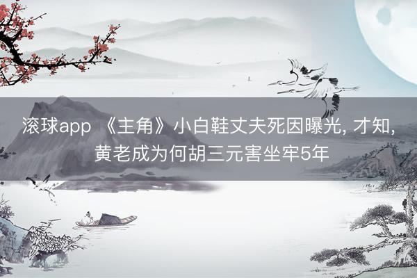 滚球app 《主角》小白鞋丈夫死因曝光， 才知， 黄老成为何胡三元害坐牢5年