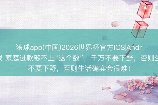 滚球app(中国)2026世界杯官方IOS|Android手机app下载 家庭进款够不上“这个数”，千万不要下野，否则生活确实会很难！