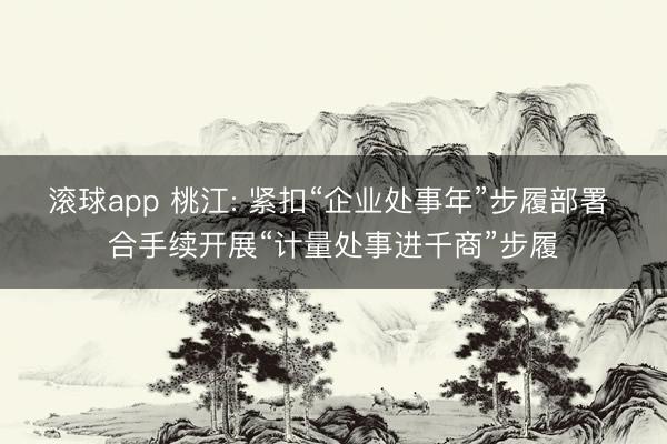 滚球app 桃江: 紧扣“企业处事年”步履部署 合手续开展“计量处事进千商”步履