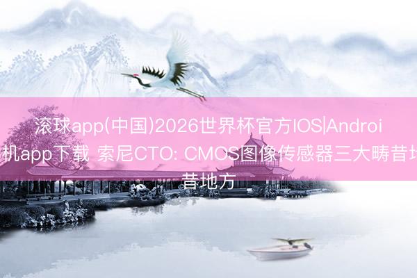 滚球app(中国)2026世界杯官方IOS|Android手机app下载 索尼CTO: CMOS图像传感器三大畴昔地方