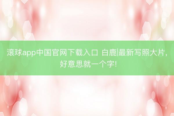 滚球app中国官网下载入口 白鹿|最新写照大片，<a href=