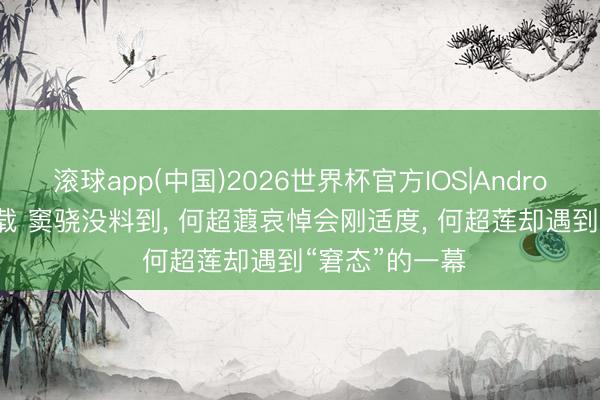 滚球app(中国)2026世界杯官方IOS|Android手机app下载 窦骁没料到， 何超蕸哀悼会刚适度， 何超莲却遇到“窘态”的一幕