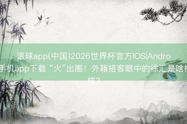 滚球app(中国)2026世界杯官方IOS|Android手机app下载 “火”出圈！外籍搭客眼中的徐汇是啥样？