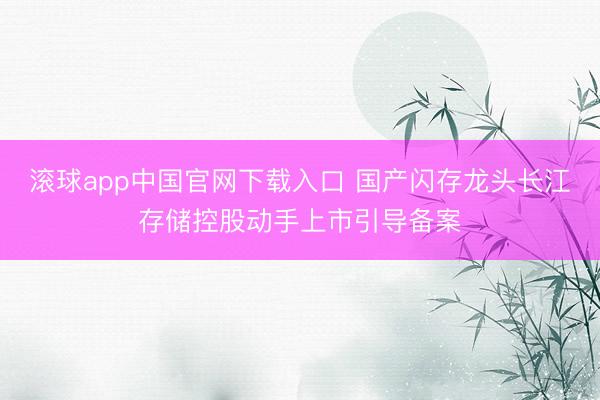 滚球app中国官网下载入口 国产闪存龙头长江存储控股动手上市引导备案