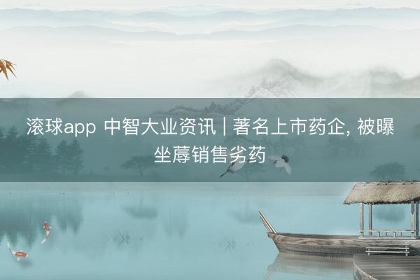 滚球app 中智大业资讯 | 著名上市药企， 被曝坐蓐销售劣药