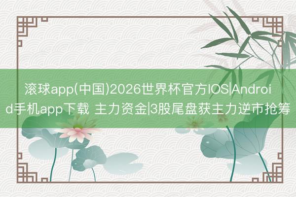 滚球app(中国)2026世界杯官方IOS|Android手机app下载 主力资金|3股尾盘获主力逆市抢筹