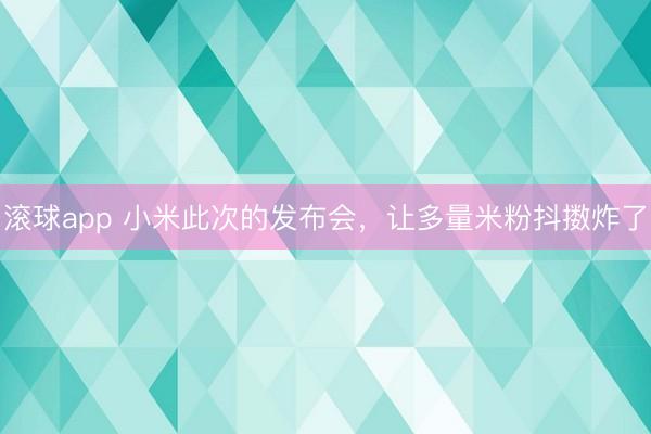 滚球app 小米此次的发布会，让多量米粉抖擞炸了