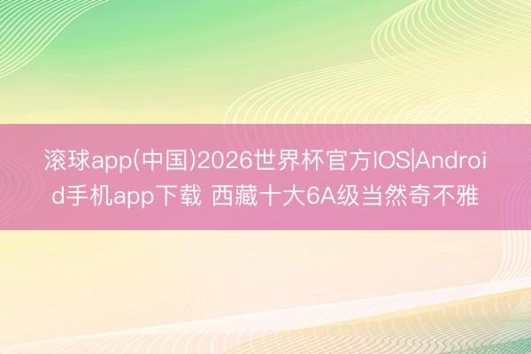 滚球app(中国)2026世界杯官方IOS|Android手机app下载 西藏十大6A级当然奇不雅