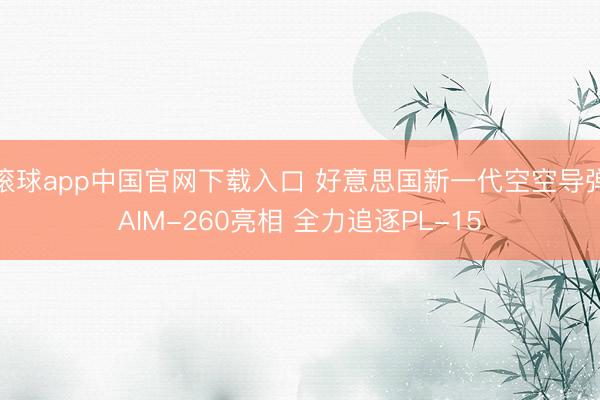 滚球app中国官网下载入口 好意思国新一代空空导弹AIM-260亮相 全力追逐PL-15