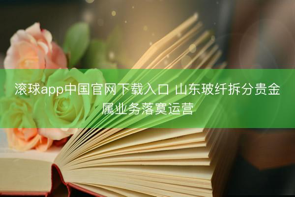 滚球app中国官网下载入口 山东玻纤拆分贵金属业务落寞运营