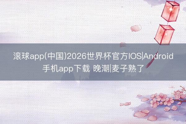 滚球app(中国)2026世界杯官方IOS|Android手机app下载 晚潮|麦子熟了