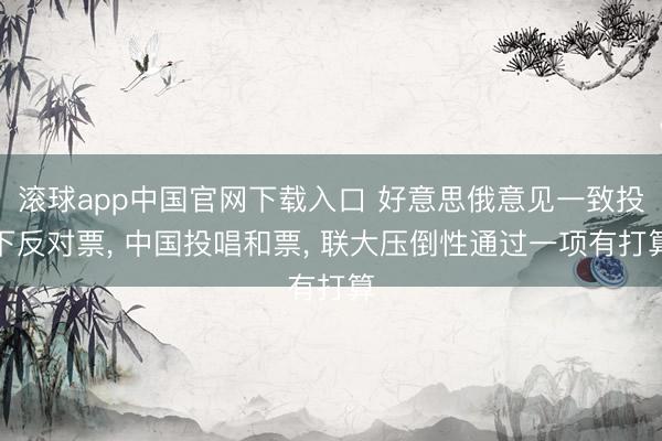滚球app中国官网下载入口 好意思俄意见一致投下反对票， 中国投唱和票， 联大压倒性通过一项有打算