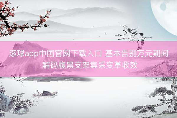 滚球app中国官网下载入口 基本告别万元期间 解码腹黑支架集采变革收效