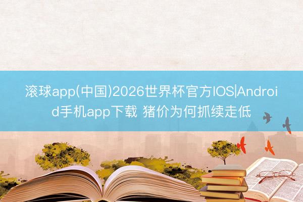 滚球app(中国)2026世界杯官方IOS|Android手机app下载 猪价为何抓续走低