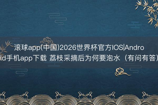 滚球app(中国)2026世界杯官方IOS|Android手机app下载 荔枝采摘后为何要泡水（有问有答）
