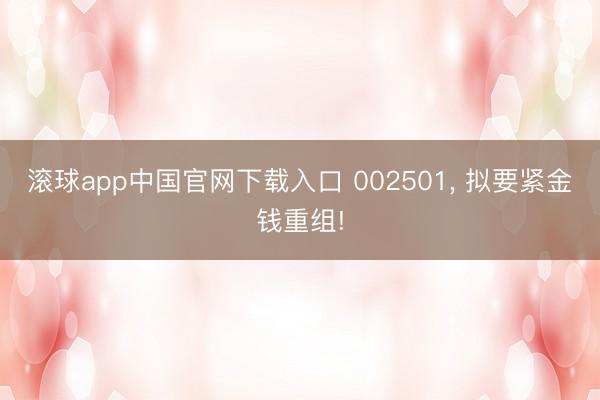 滚球app中国官网下载入口 002501， 拟要紧金钱重组!