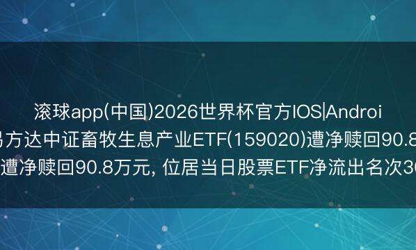 滚球app(中国)2026世界杯官方IOS|Android手机app下载 6月1日易方达中证畜牧生息产业ETF(159020)遭净赎回90.8万元， 位居当日股票ETF净流出名次303/1210
