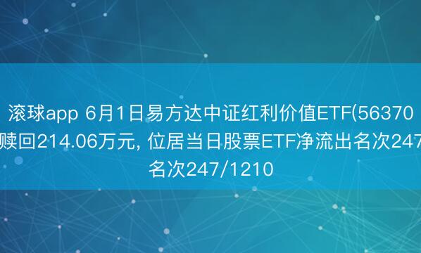滚球app 6月1日易方达中证红利价值ETF(563700)遭净赎回214.06万元， 位居当日股票ETF净流出名次247/1210