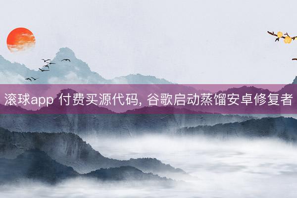 滚球app 付费买源代码， 谷歌启动蒸馏安卓修复者