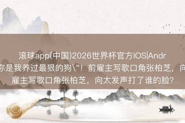 滚球app(中国)2026世界杯官方IOS|Android手机app下载 