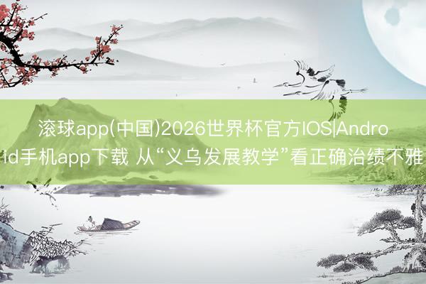 滚球app(中国)2026世界杯官方IOS|Android手机app下载 从“义乌发展教学”看正确治绩不雅