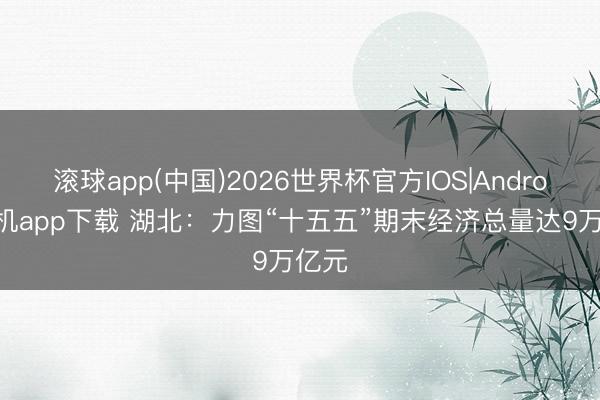 滚球app(中国)2026世界杯官方IOS|Android手机app下载 湖北：力图“十五五”期末经济总量达9万亿元