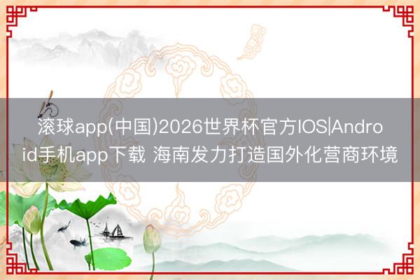 滚球app(中国)2026世界杯官方IOS|Android手机app下载 海南发力打造国外化营商环境