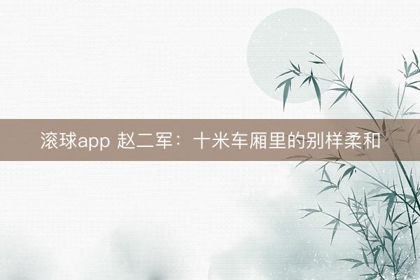 滚球app 赵二军:十米车厢里的别样柔和