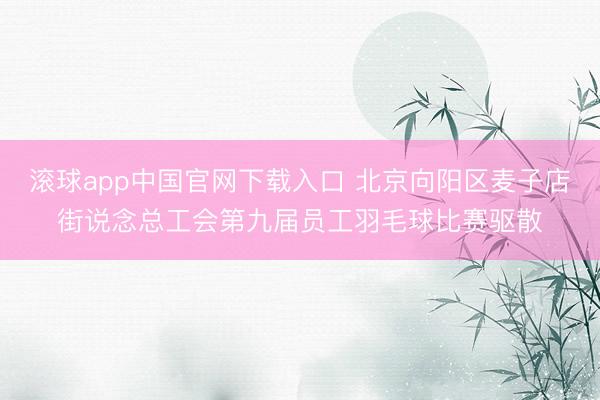 滚球app中国官网下载入口 北京向阳区麦子店街说念总工会第九届员工羽毛球比赛驱散