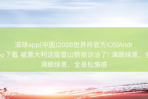 滚球app(中国)2026世界杯官方IOS|Android手机app下载 被意大利这座雪山狠狠诊治了! 满眼绿意,全是松懈感