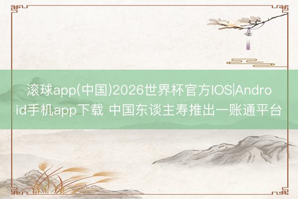 滚球app(中国)2026世界杯官方IOS|Android手机app下载 中国东谈主寿推出一账通平台